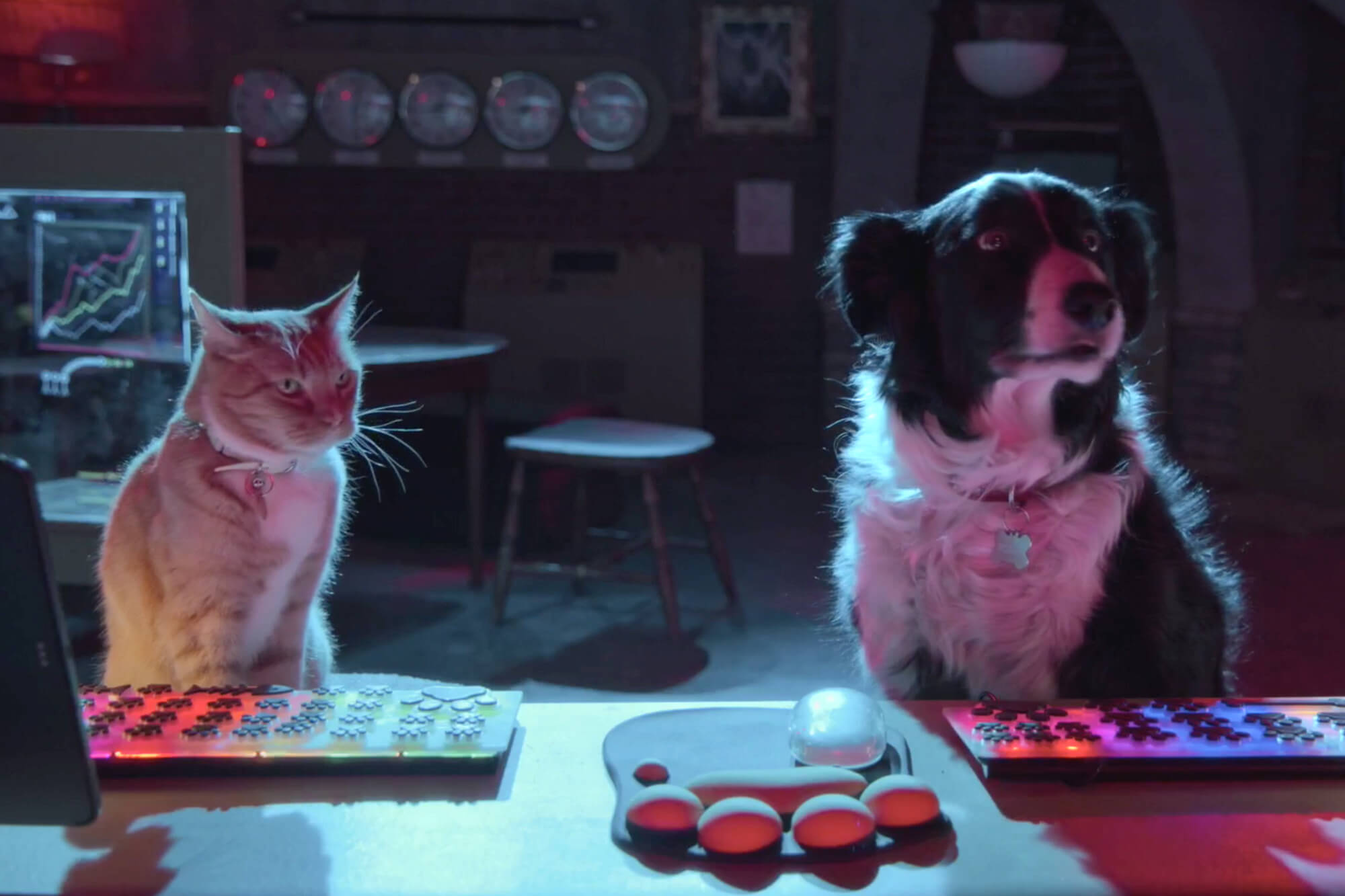 cats-and-dogs-3-starburst-review
