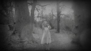bella wych elm