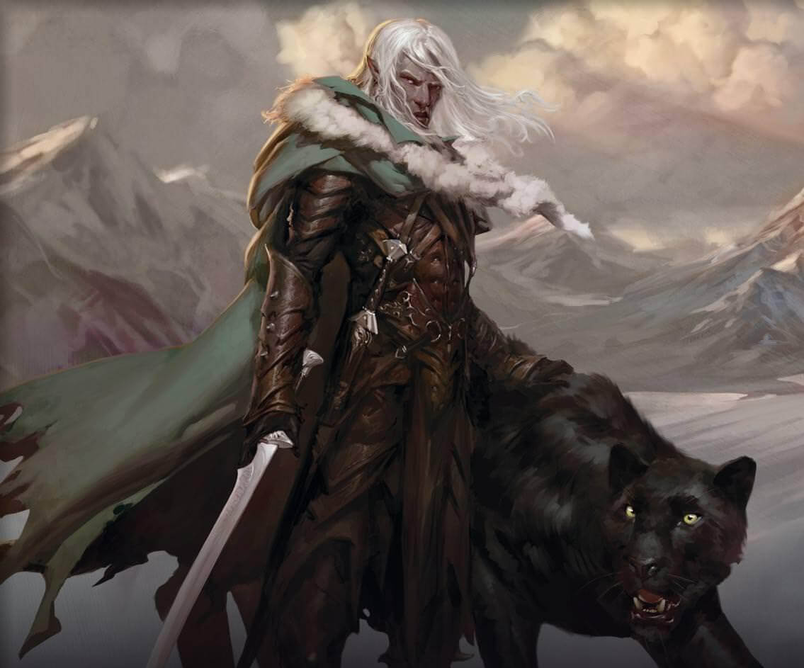 LEGEND OF DRIZZT Michael Witwer