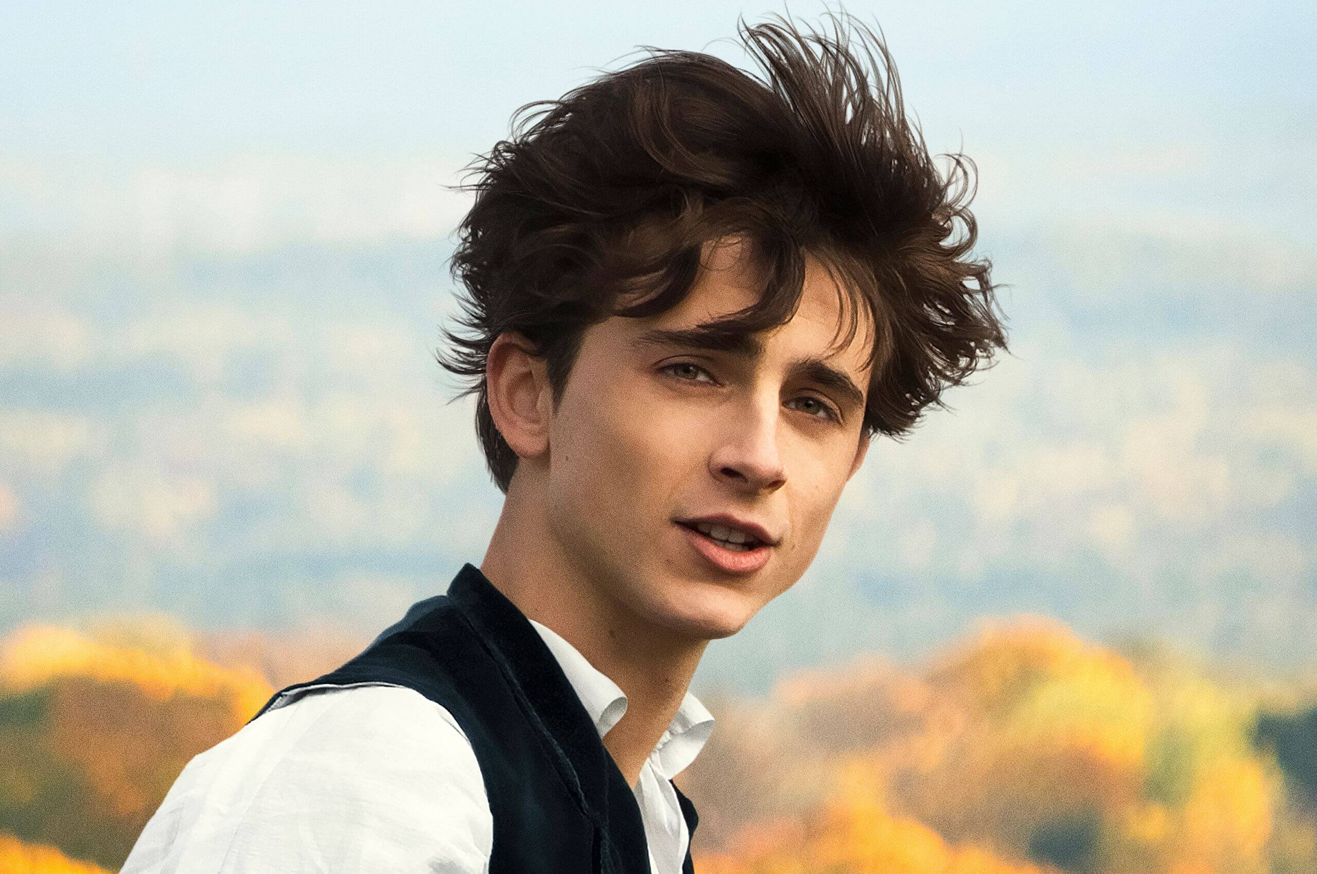 Timothee Chalamet cast as Willy Wonka