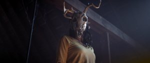 horror check out