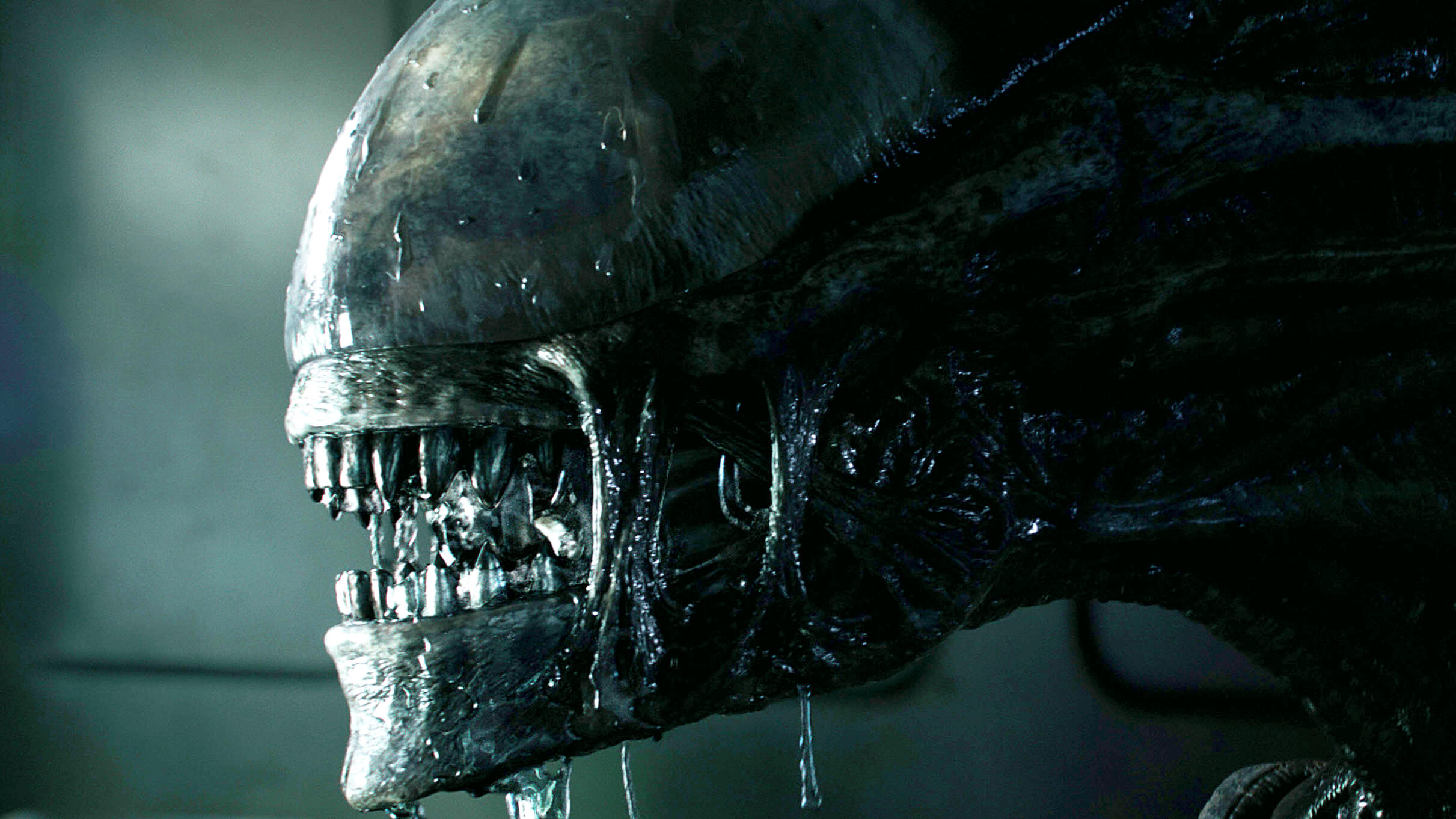 Xenomorph in Alien franchise