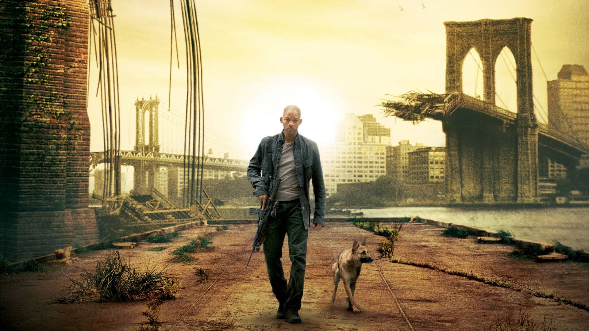 I Am Legend movie poster starring Will Smith