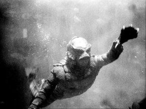 revenge of the creature