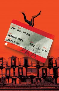 the cover of Terminal Zones by Gareth E Rees