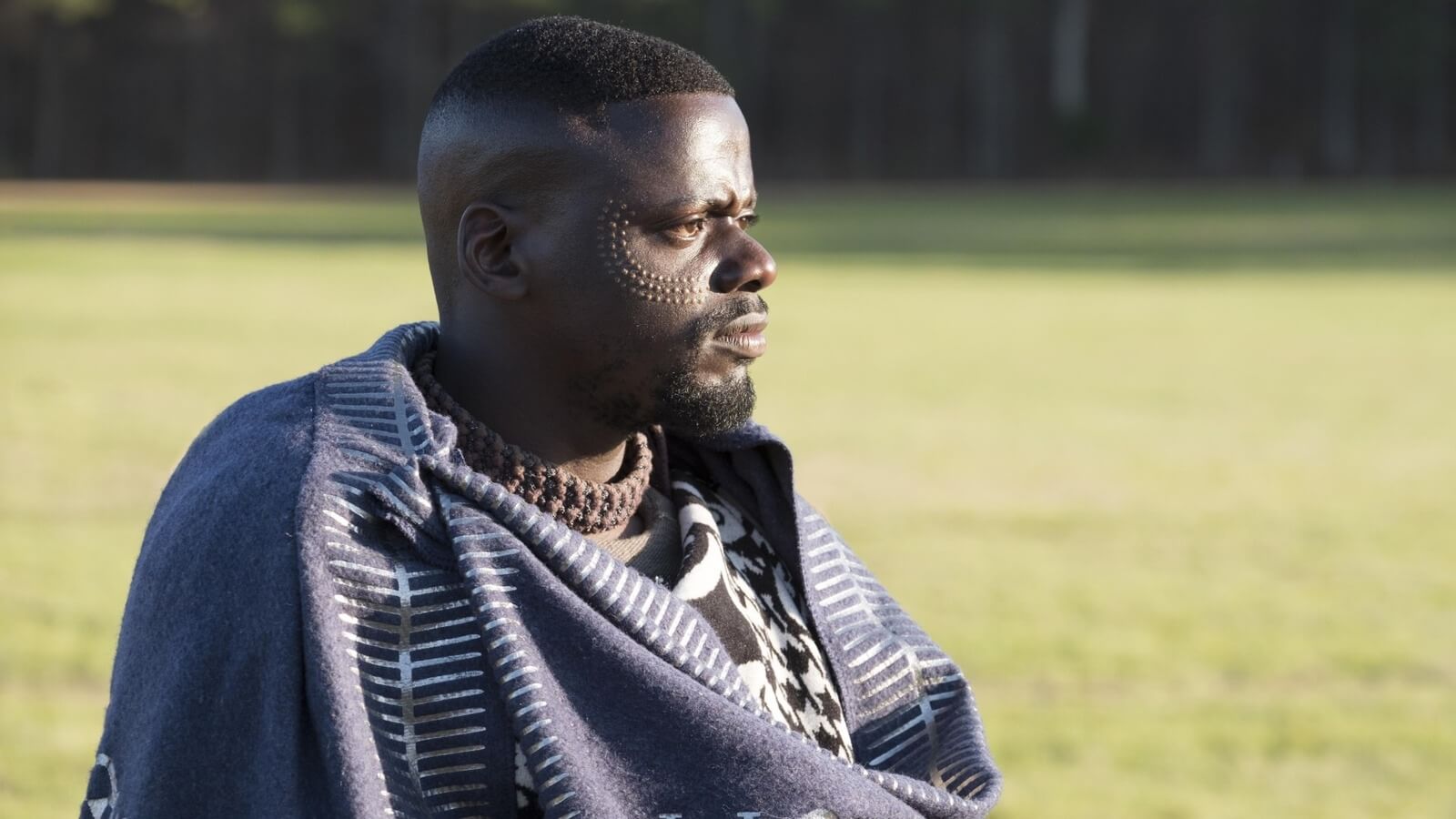 Daniel Kaluuya as W'Kabi in Black Panther, will not return for Wakanda Forever