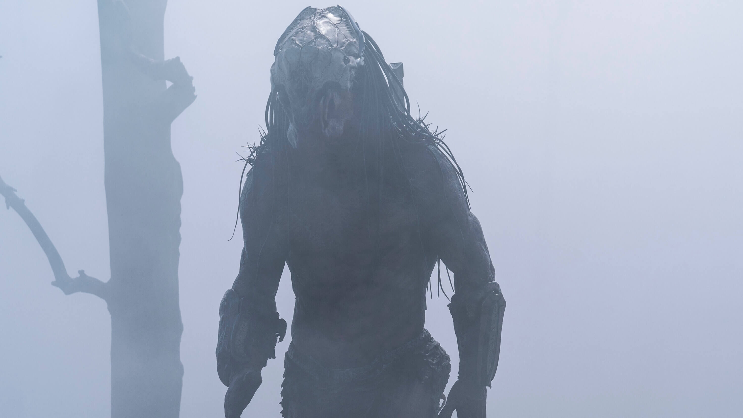 dane predator