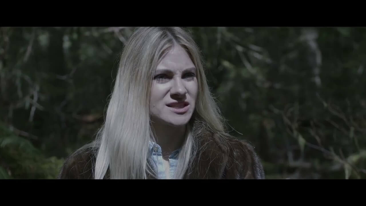 SOMETHING IN THE WOODS