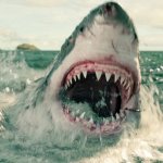 shark attack film something in the water