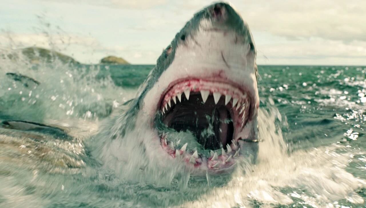 shark attack film something in the water