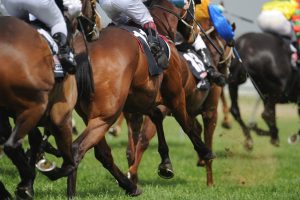 grand national
