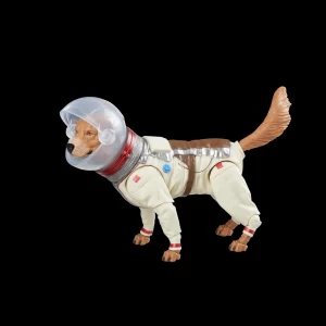 Cosmo The Dog