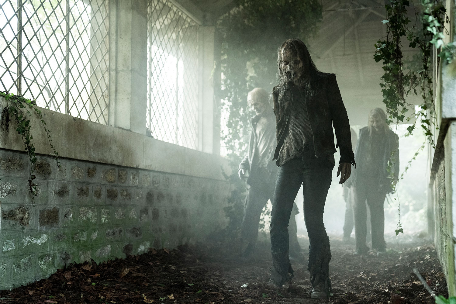 The Walking Dead: Daryl Dixon still showing smart zombies