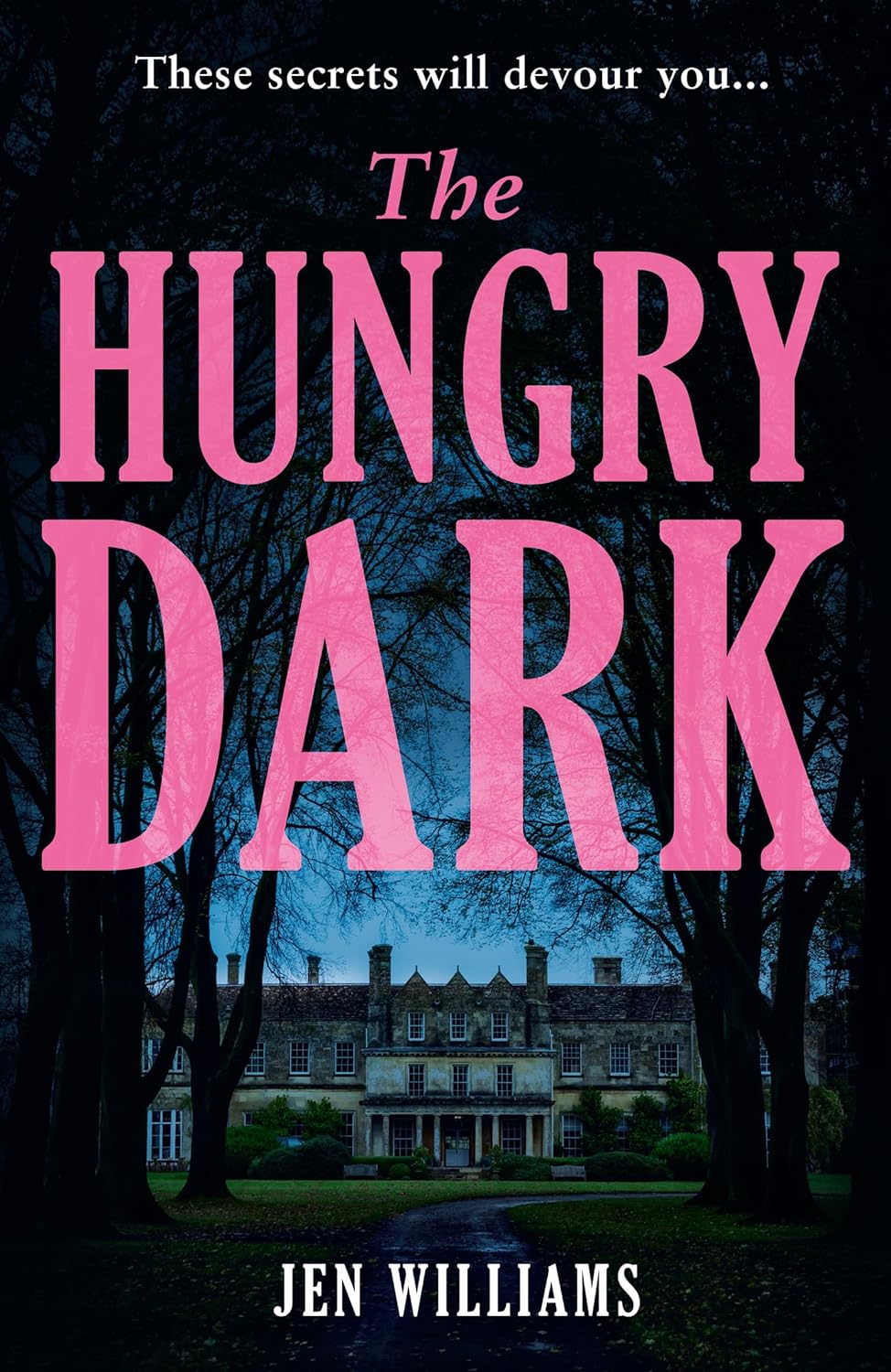 THE HUNGRY DARK