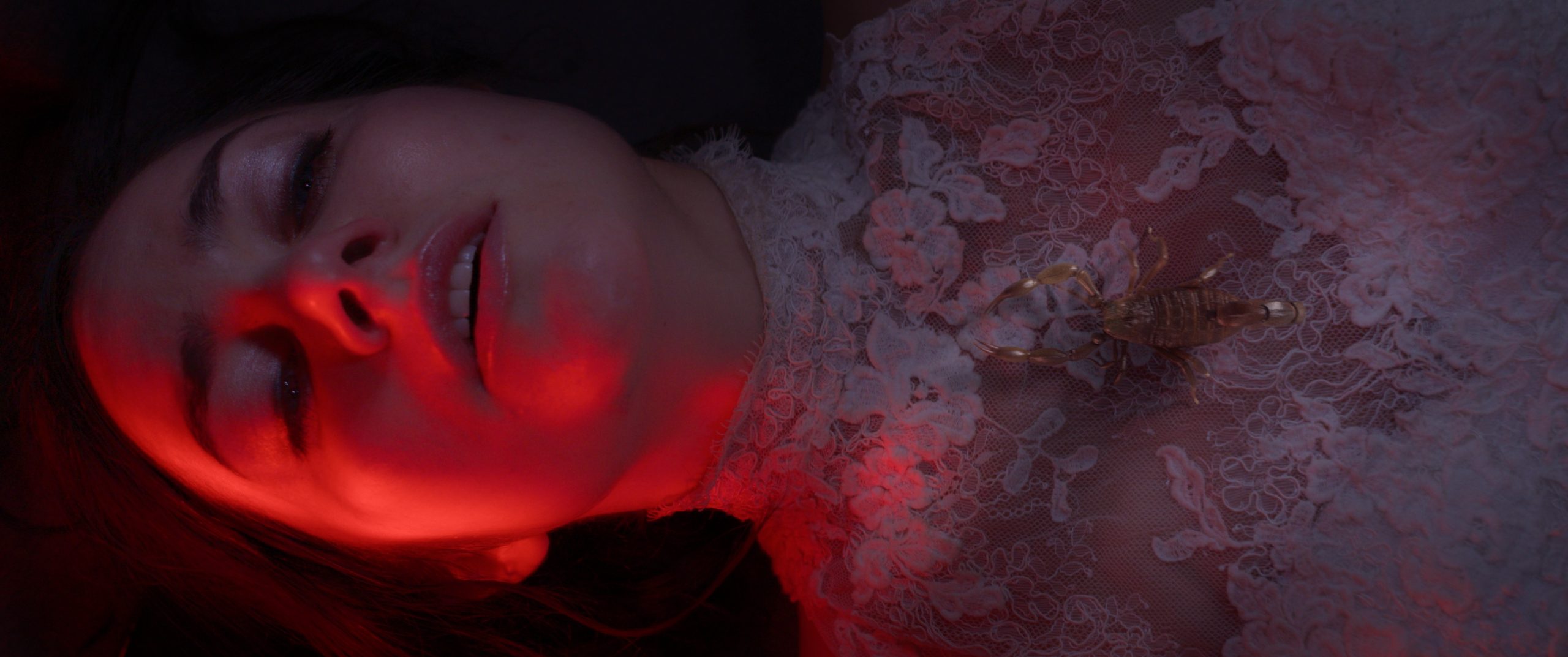 The Girl in the Trunk