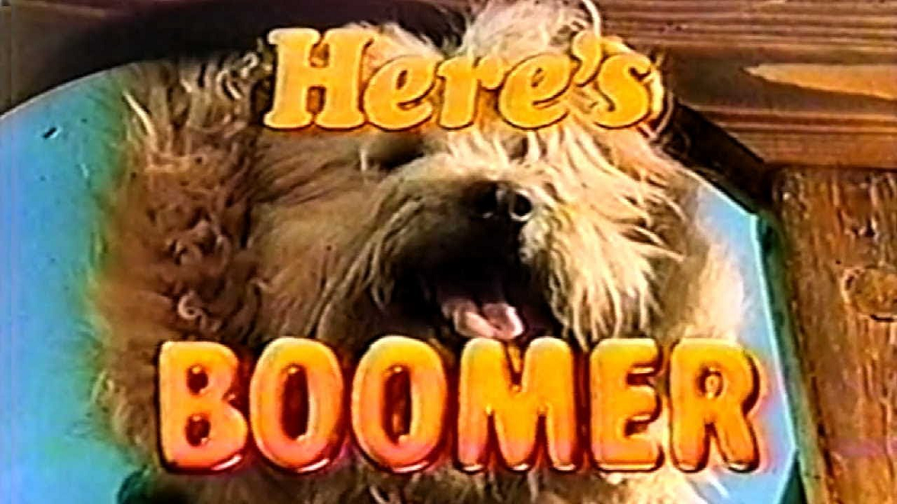 Here's Boomer, 1979-80