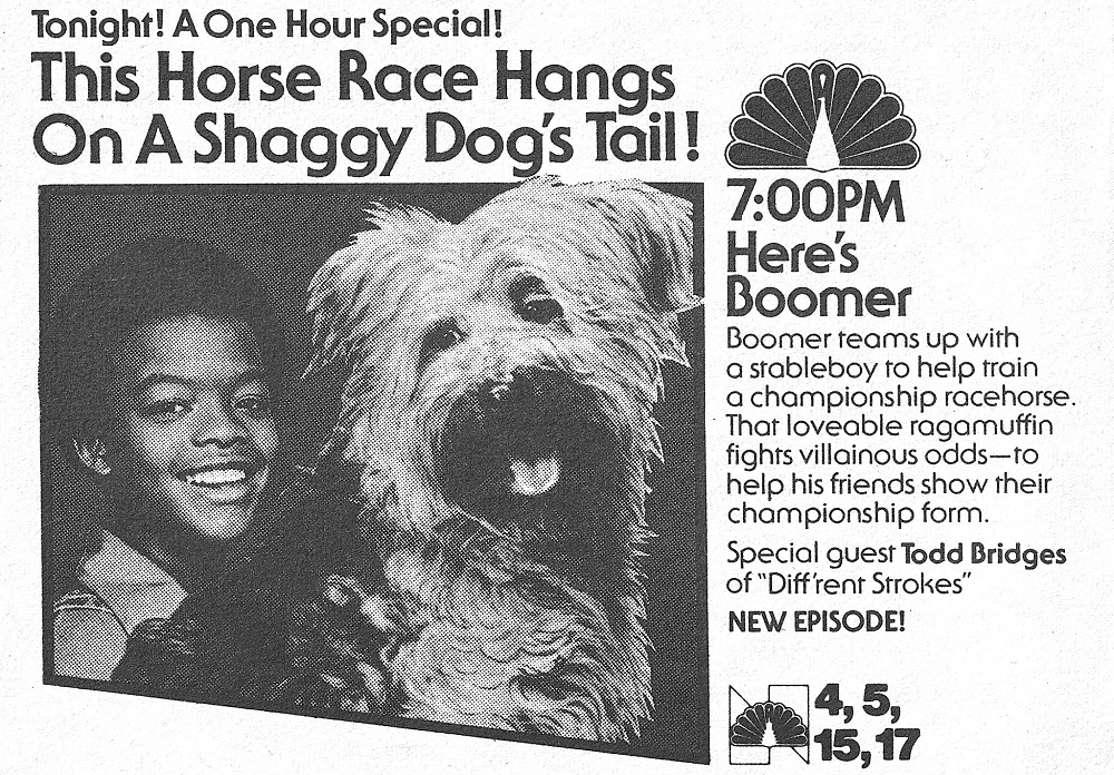 Here's Boomer, 1979-80