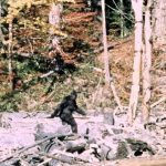 bigfoot photo
