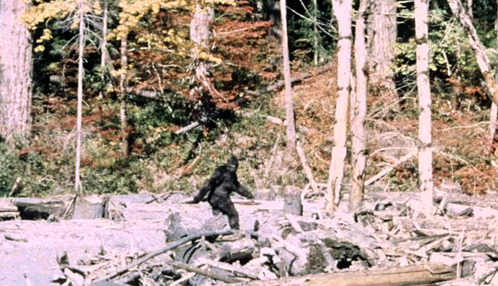 bigfoot photo