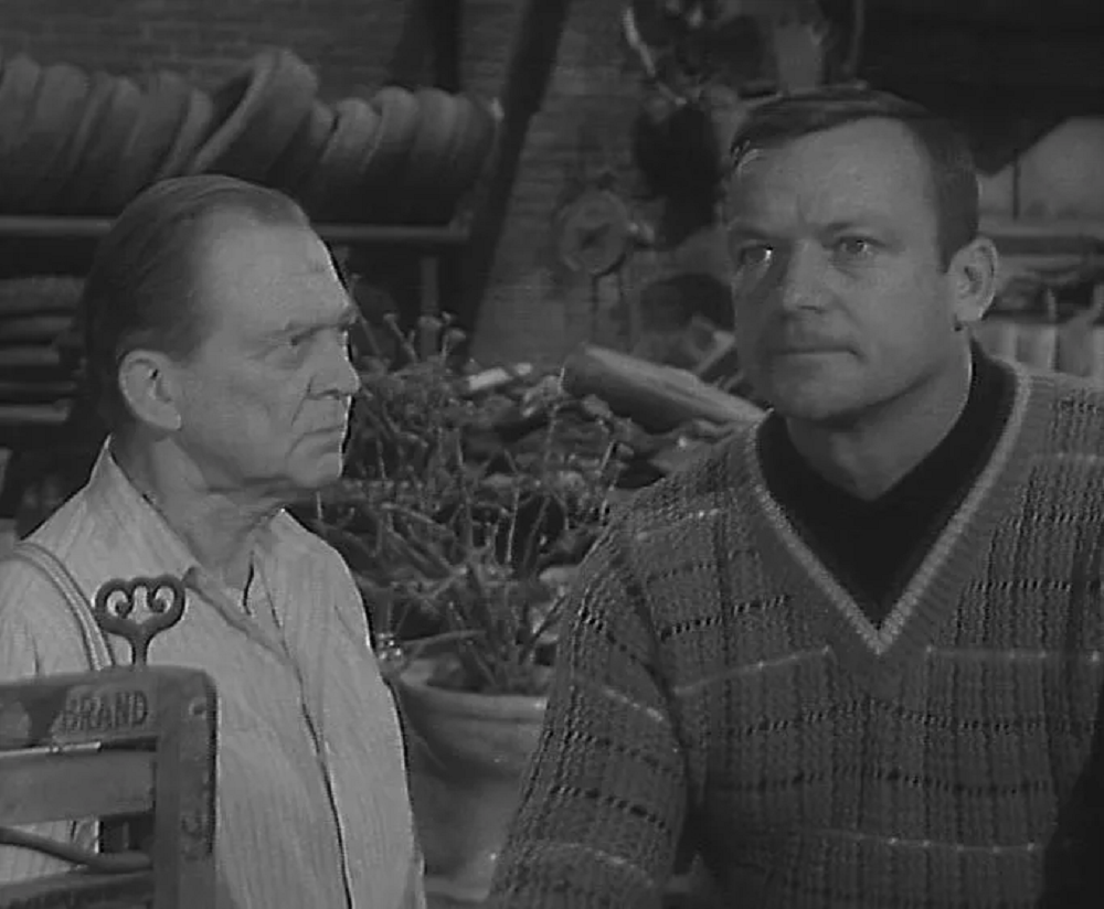 Steptoe And Son, 1965-66