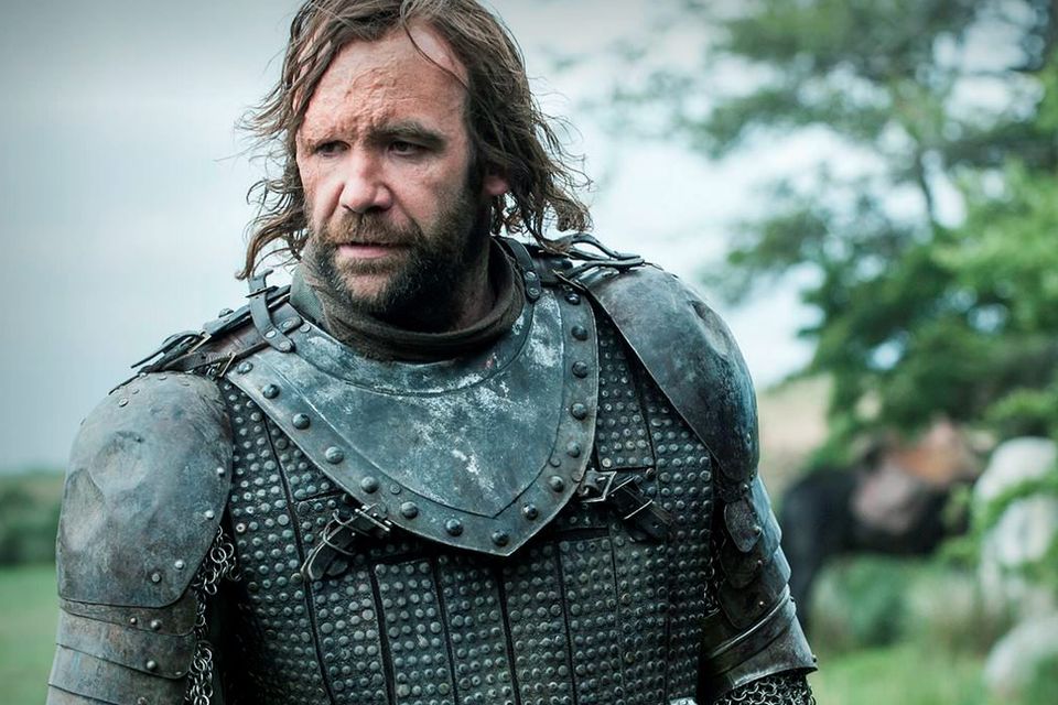 rory mccann as the hound in game of thrones