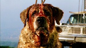 cujo film to be remade by darren aronofsky