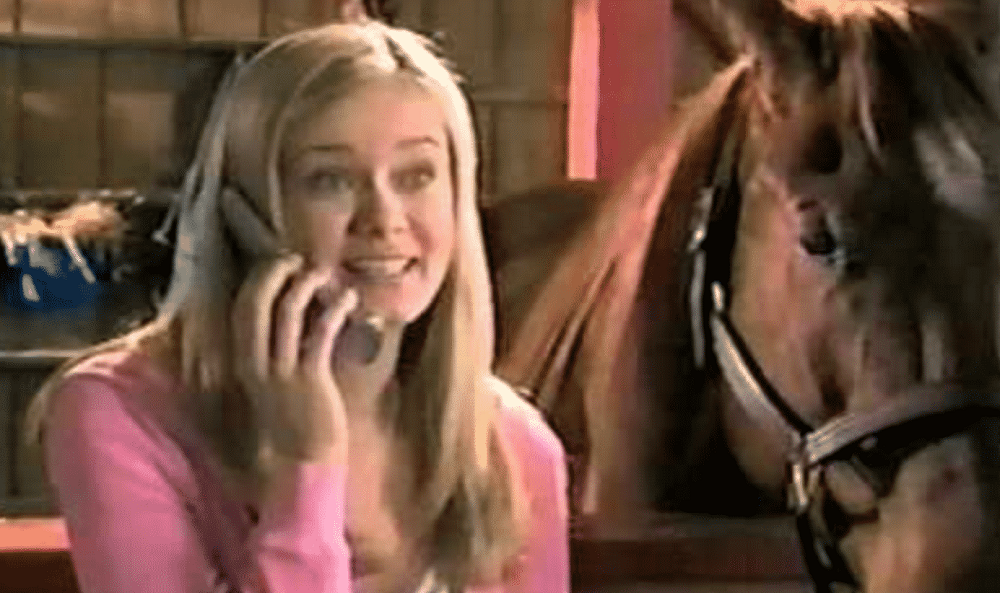 Mister Ed, 2004-05