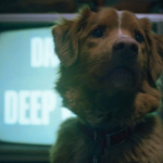 Indy the dog in Good Boy film trailer