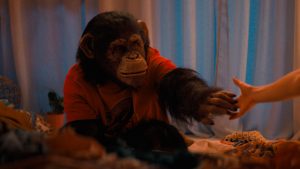 ben the chimp in primate directed by johannes roberts