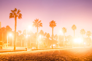 https://unsplash.com/photos/palm-trees-on-the-beach-during-sunset-iksLKjO_ypA