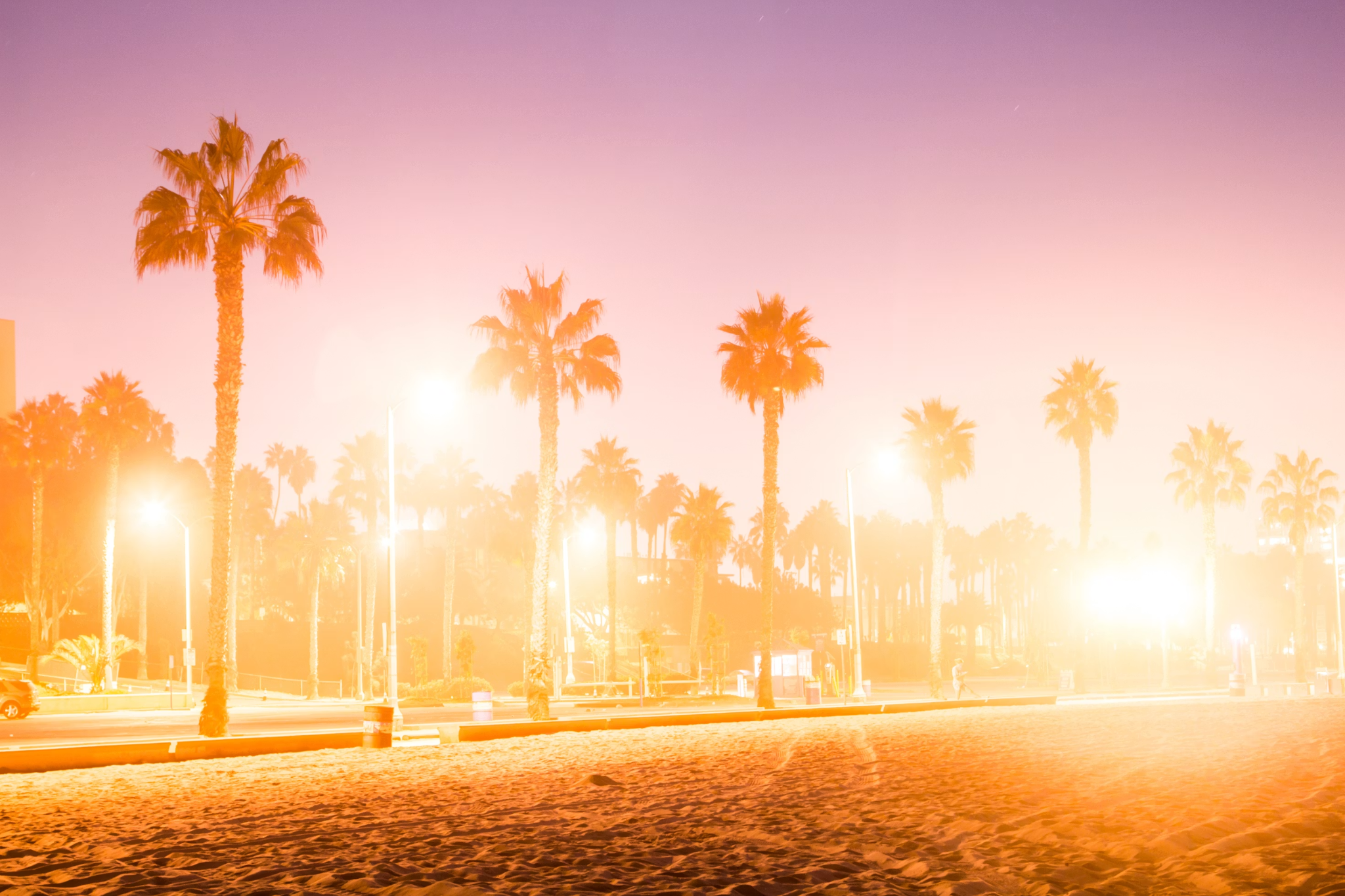 https://unsplash.com/photos/palm-trees-on-the-beach-during-sunset-iksLKjO_ypA